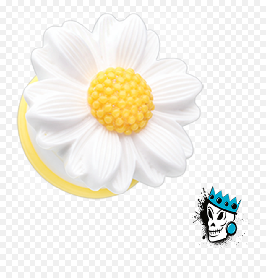 White Daisy Plugs 6 Gauge - 1 Inch Kings Body Jewelry Png,White Daisy Png
