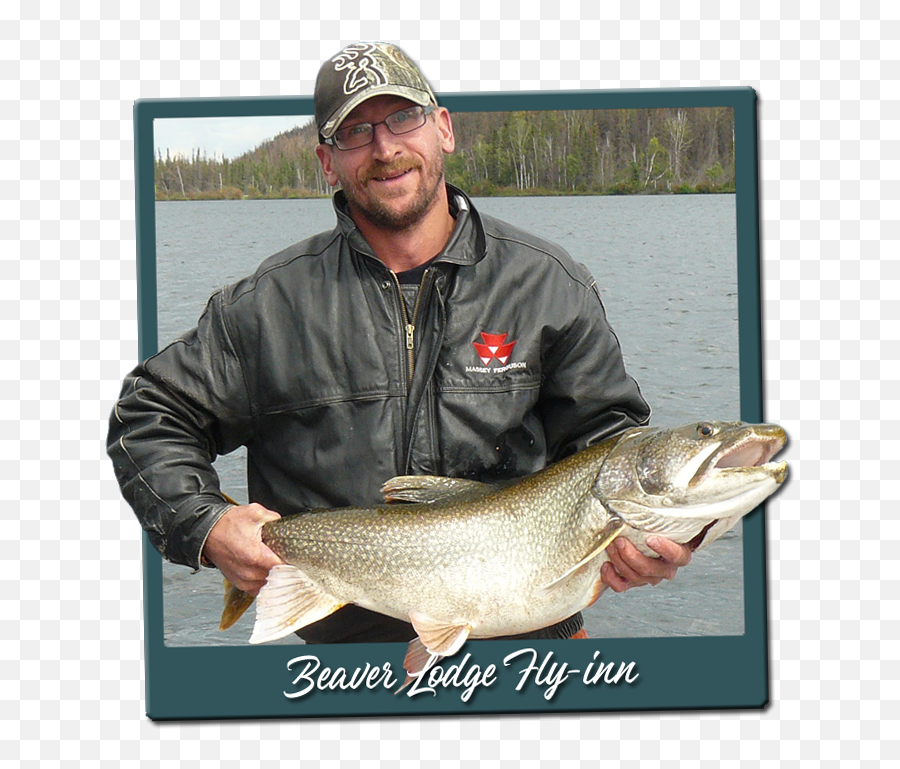 Saskatchewan Fly - In Trophy Lake Trout Fishing Lodge Recreational Fishing Png,Trout Png