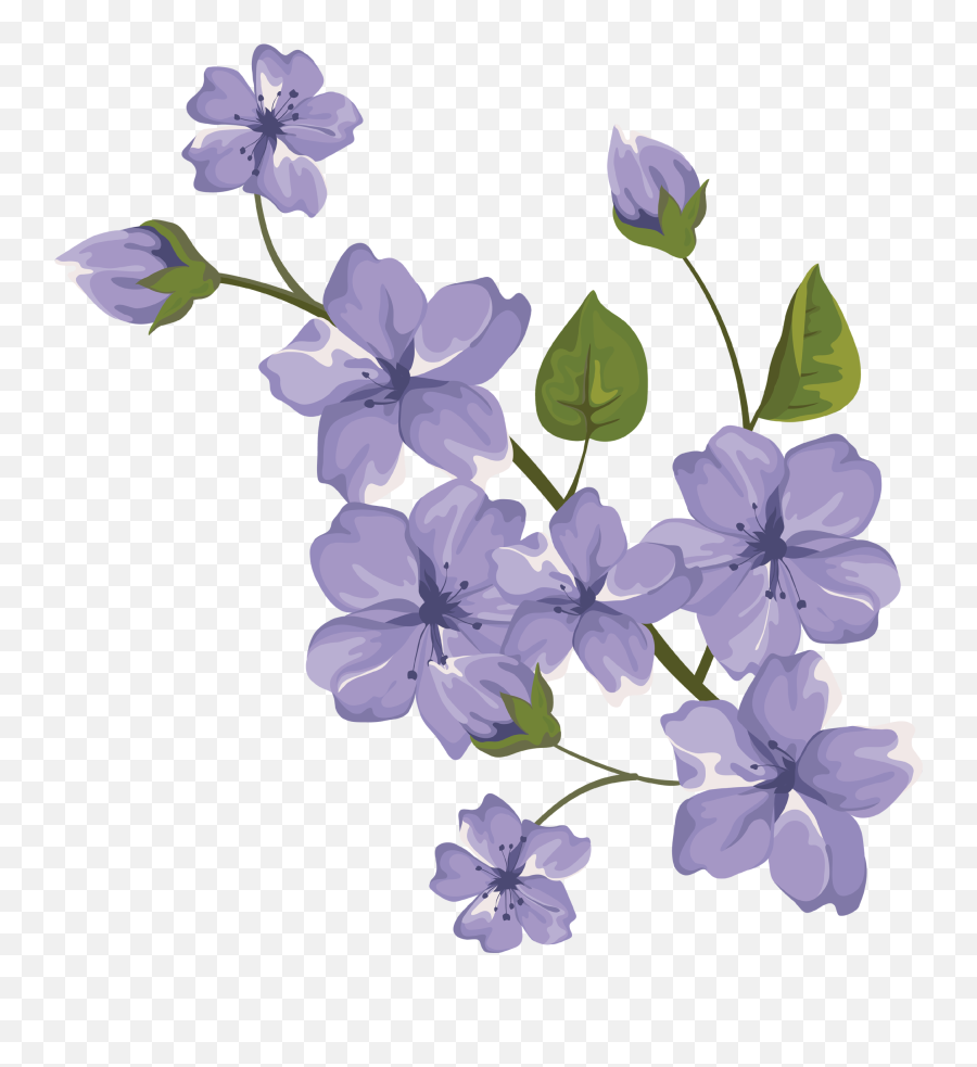 Beautiful Purple Flower Png Free - Purple Flower Png Free,Violet Png