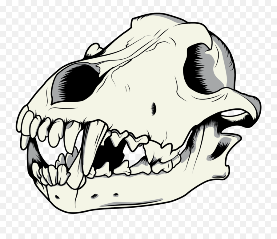 Thumb Image - Wolf Skull Vector Drawing Png,Skull Vector Png