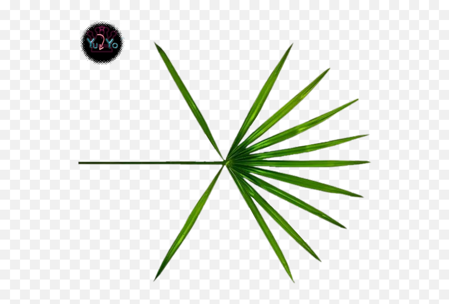 Download Hd - Vertical Png,Exo Logo
