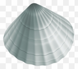 Sea Shell Png Clipart Image In 2020 - Cockle
