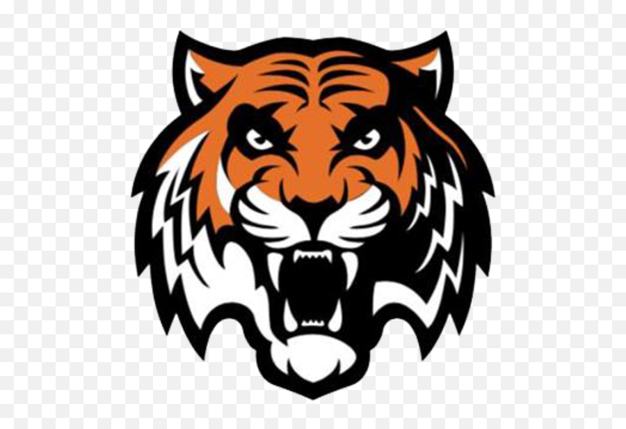 Hd Bengals Logo Png 112326 Transparent - Tiger Sporting Club,Bengals Logo Png