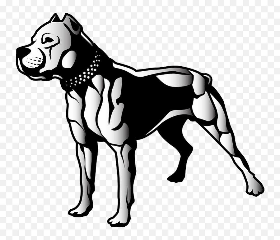 Pitbull Clipart - Pit Bull Clipart Png,Pit Bull Png