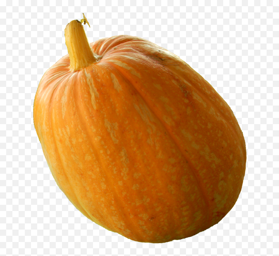 Real Pumpkin Png Transparent Image - Transparent Real Pumpkin,Pumpkin Png Transparent