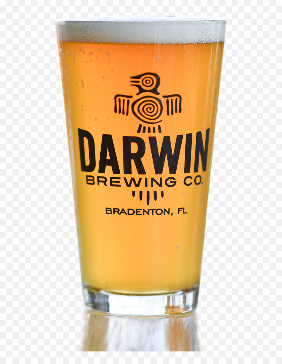 Darwin Brewing Company - Willibecher Png,Facebook Beer Icon