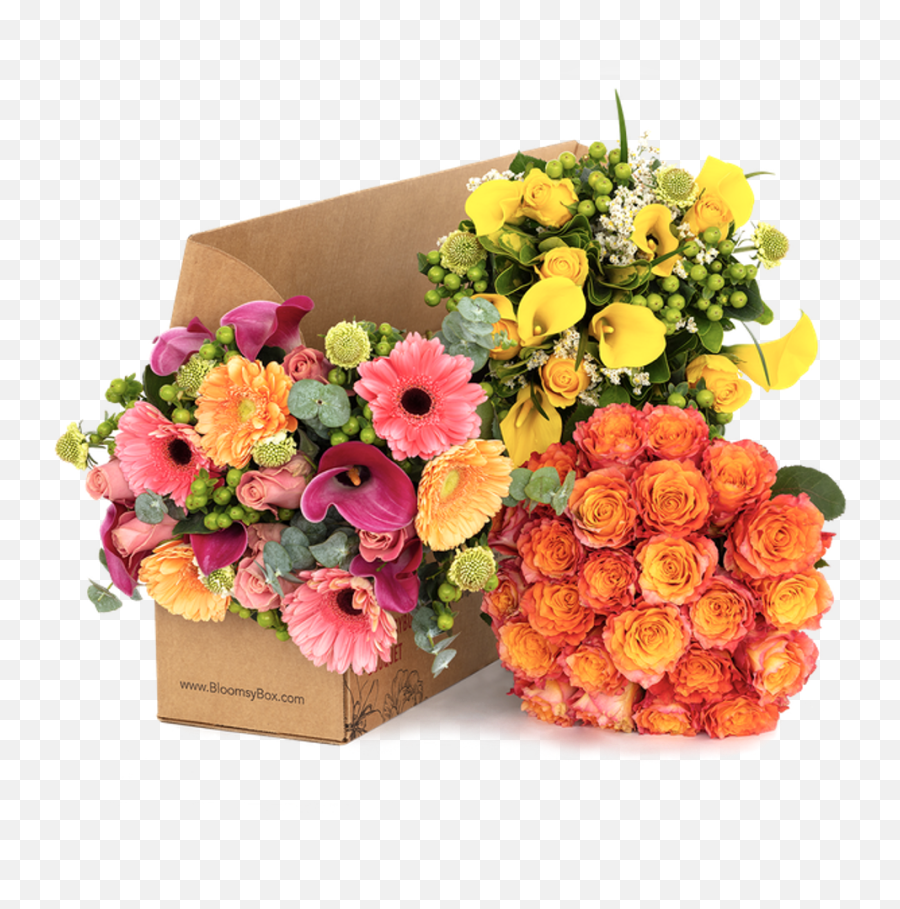 The Best Gift Basket Ideas For Everyone - Bloomsybox Png,Gift Basket Icon