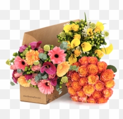 The Best Gift Basket Ideas For Everyone - Bloomsybox png