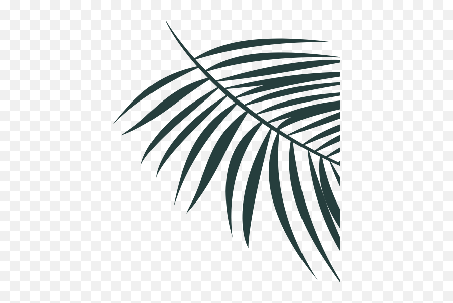 A Lu0027ombre Des Figuiers Collectoru0027s Tree Nursery With - Vertical Png,Palm Frond Icon