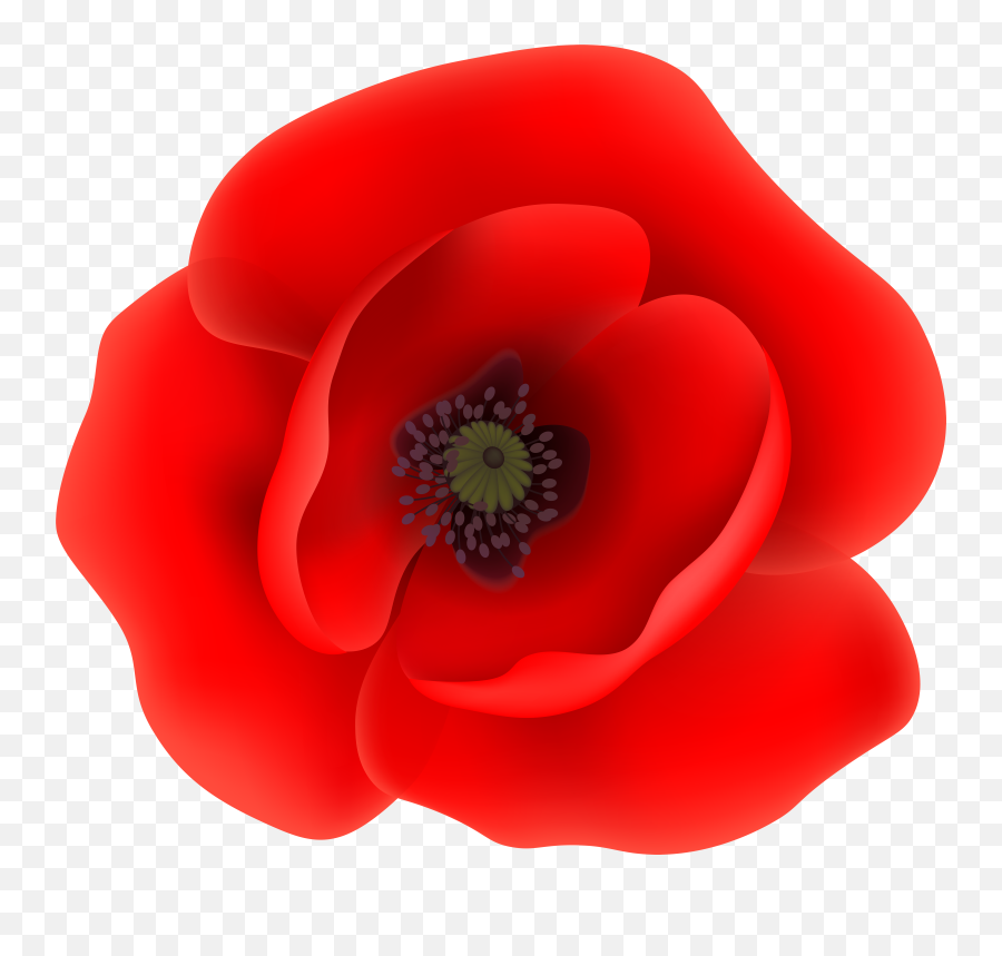 Png Poppy Flower Clip Art Transparent Clipart