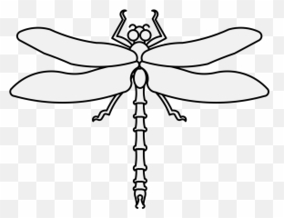 Download Hd Details Png - Dragonfly Transparent Png Image Dragonfly Pdf,Dragonfly Png