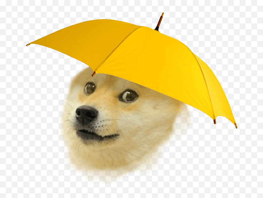 Hd Rain Doge Transparent Png Image - Dog Meme Png Transparent,Doge Transparent Background