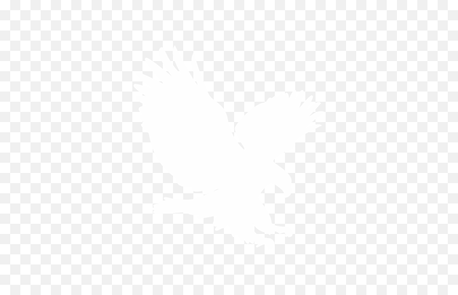 White Eagle Logo Png Transparent - White Eagle Logo Png,Eagle Logo Transparent