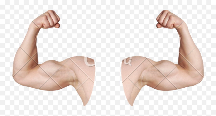 Muscle Emoji Png - Flexing Arms,Muscle Emoji Png