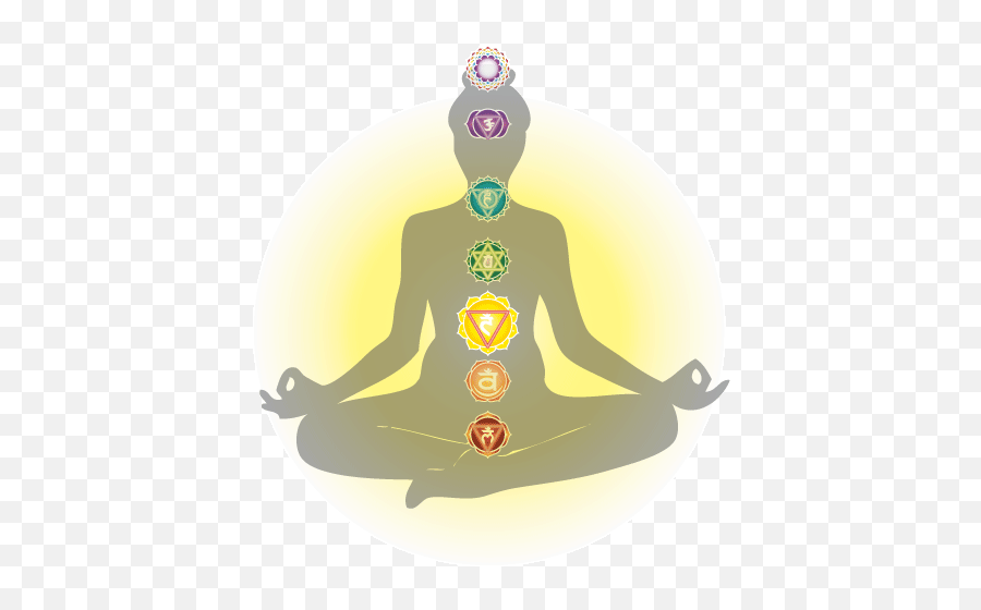 Harmonizing The Energy Body U2013 Chakra Anatomy Solar Plexus - Solar Plexus Chakra Png,Plexus Logo