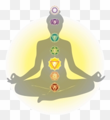 Harmonizing The Energy Body U2013 Chakra Anatomy Solar Plexus - Solar Plexus Chakra Png,Plexus Logo