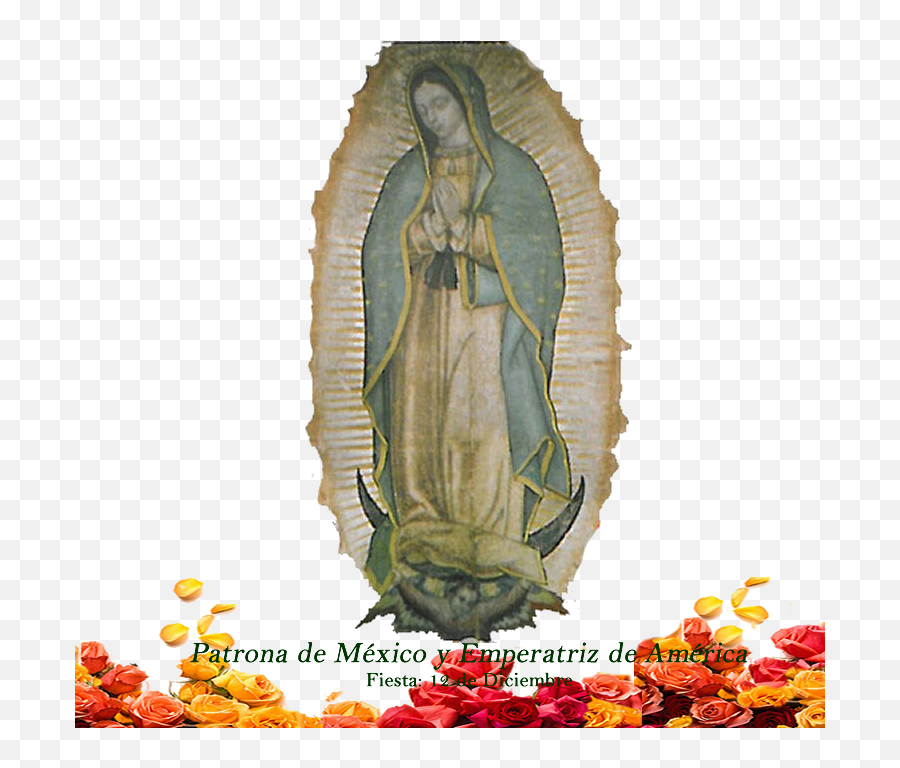 Nuestra Señora De Guadalupe - Our Lady Of Guadalupe No Background Png,Virgen De Guadalupe Png