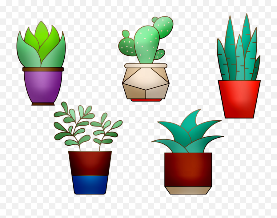 House Plants Cactus Flowerpot - Cactus En Maceta Png,House Plant Png