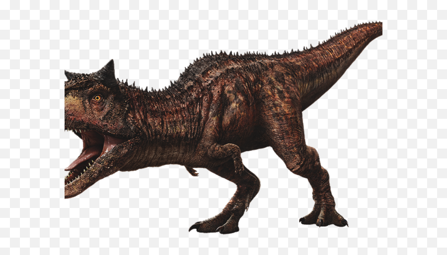 Jurassic World Dinosaurs Png - Jurassic Park Clipart Carnotaurus Jurassic World Fallen Kingdom,Jurassic Park Transparent