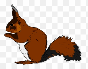 Funny Squirrel Images Transparent Image - Gambar Tupai Png,Squirrel Transparent