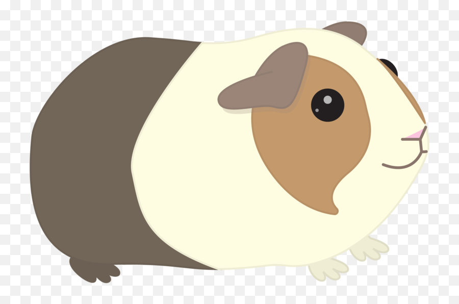 Clipart Library Stock Guinea Pigs - Guinea Pig Transparent Background Guinea Pig Clipart Png,Pig Transparent Background