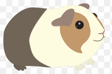 Clipart Library Stock Guinea Pigs - Transparent Background png