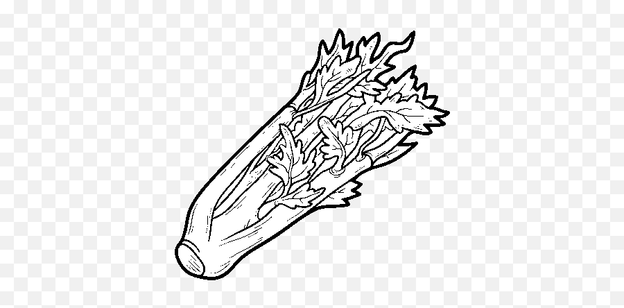 A Celery Coloring Page - Coloringcrewcom Celery Coloring Pages Png,Celery Png