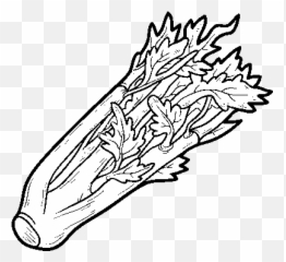 A Celery Coloring Page - Coloringcrewcom Celery Coloring Pages Png,Celery Png