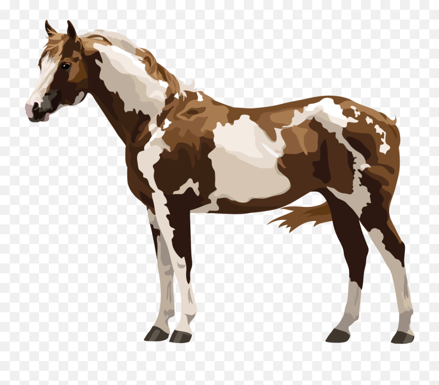Paint Horse Png U0026 Free Horsepng Transparent Images - Paint Horse Png,Horse Png