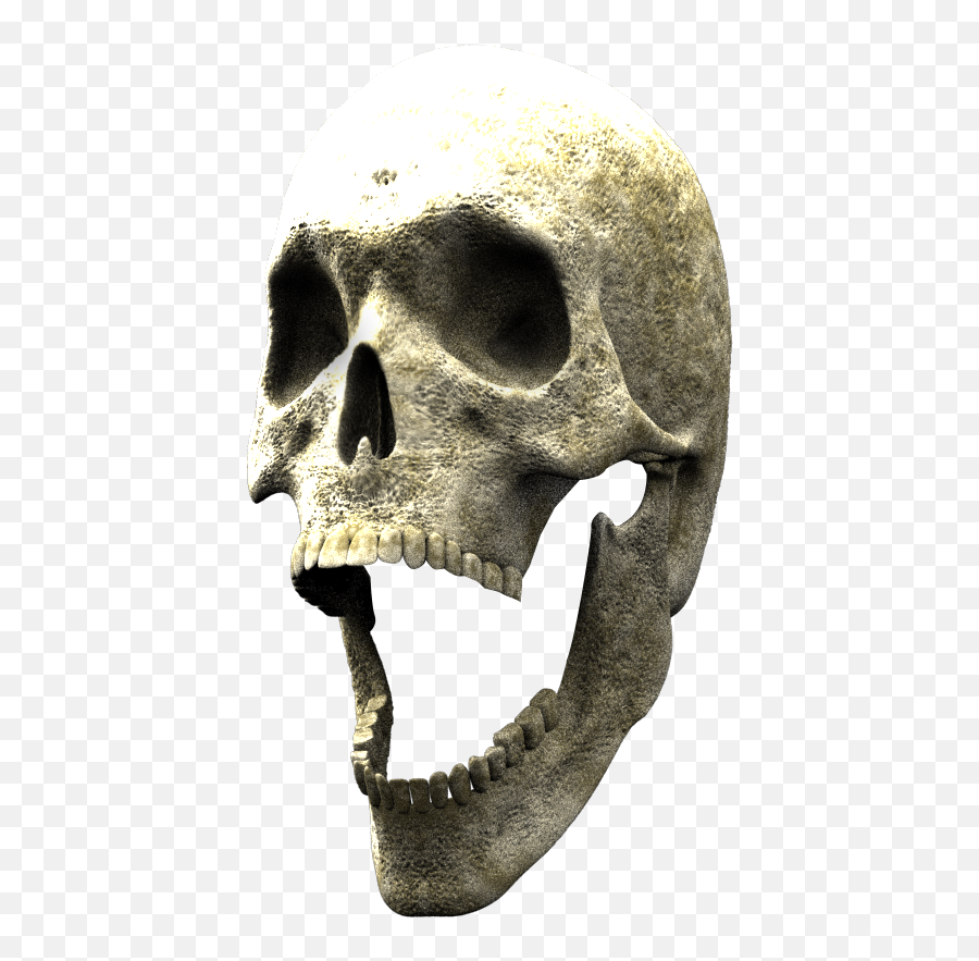 3d Skull To Finish Your Composite - Skull Png,3d Skull Png