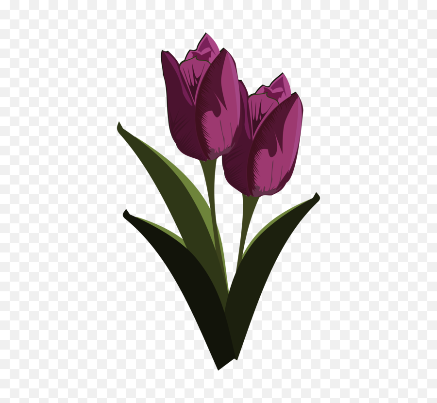 Tulip Download Mosseruds Gf Pixel Art - Tulipane Tegning Png,Pixel Flower Png