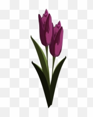Tulip Download Mosseruds Gf Pixel Art - Tulipane Tegning png
