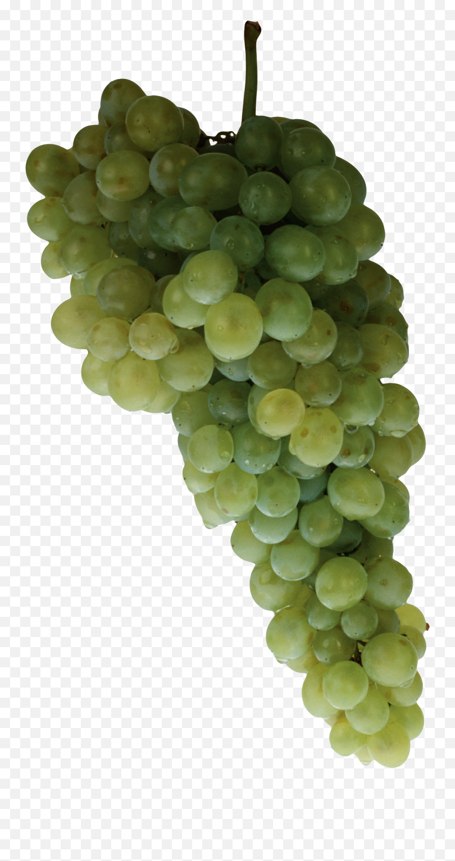 Green Grape Png Image - Transparent Background Grapes Hd Images Png,Grapes Transparent Background