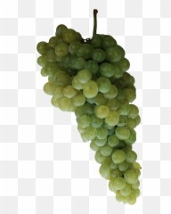 Green Grape Png Image - Transparent Background Grapes Hd Images