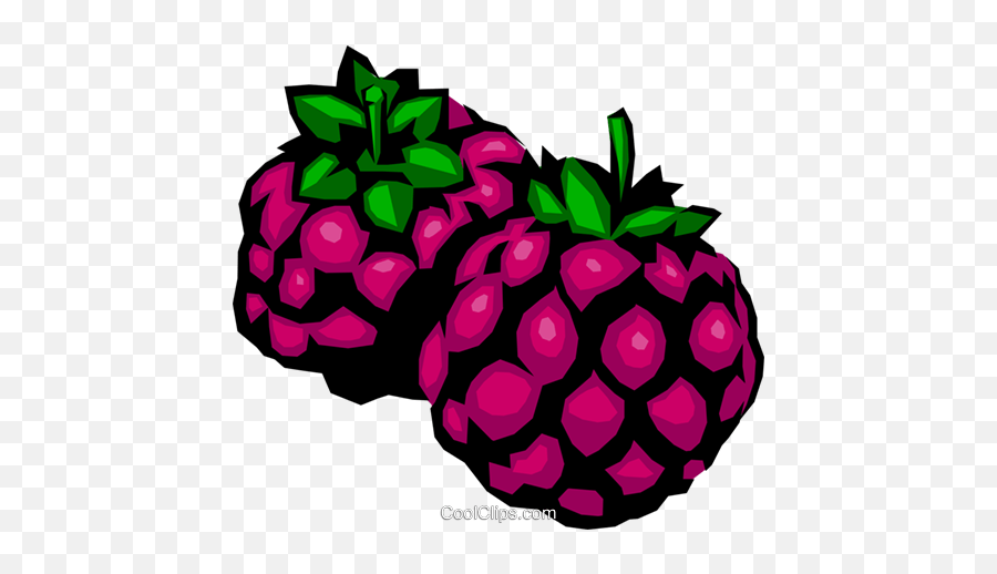 Download Blackberries Royalty Free Vector Clip Art - Clipart More Png,Blackberries Png