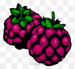 Download Blackberries Royalty Free Vector Clip Art - Clipart More Png,Blackberries Png