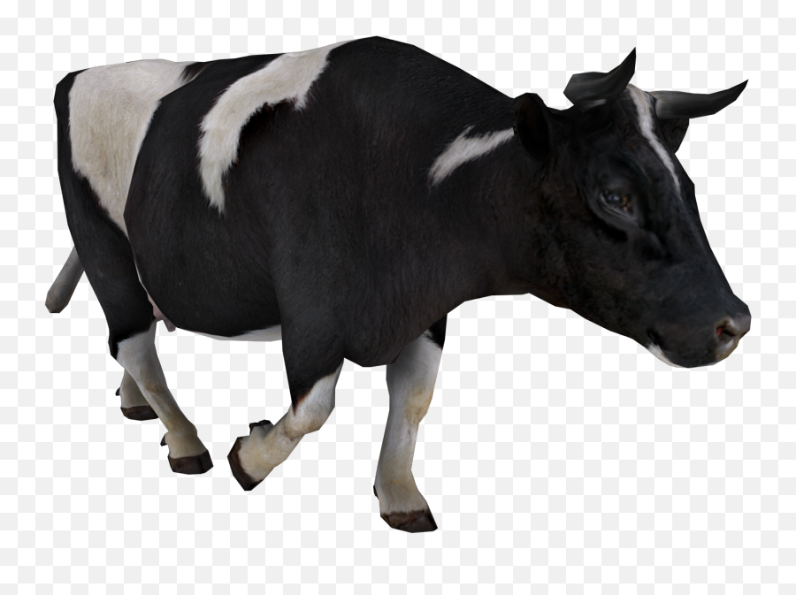 Black Spots Cow Png Pic Cattle