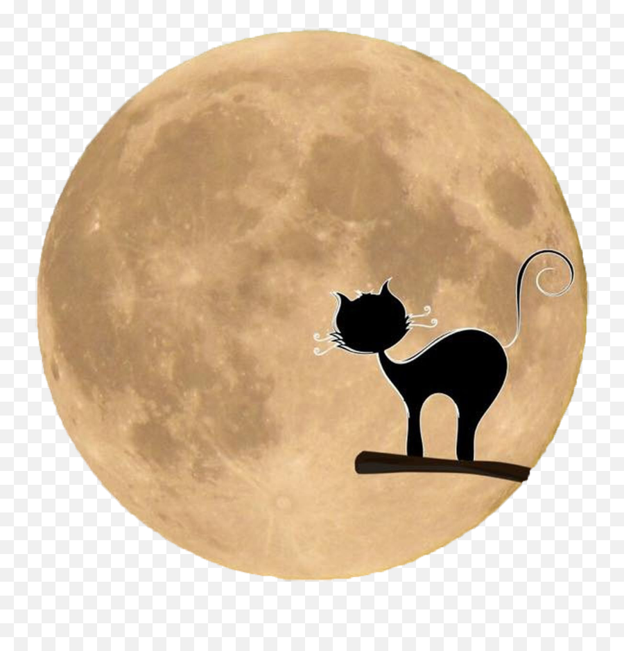 Library Of Halloween Moon Clipart Black And White Png Files - Full Moon,Moon Silhouette Png