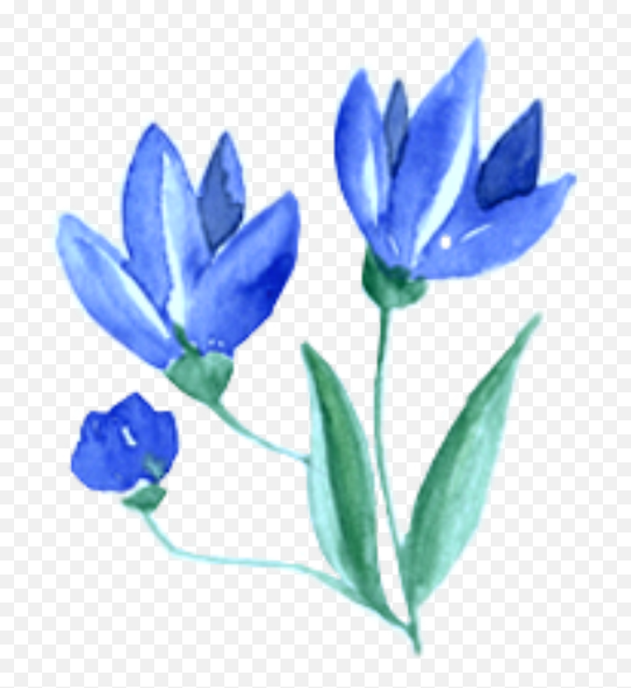 Ftestickers Watercolor Flowers Blue Clipart - Full Size Blue Clipart Watercolor Flowers Png,Blue Flowers Transparent