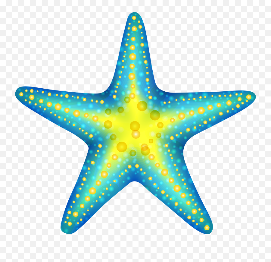Transparent Background Png Starfish