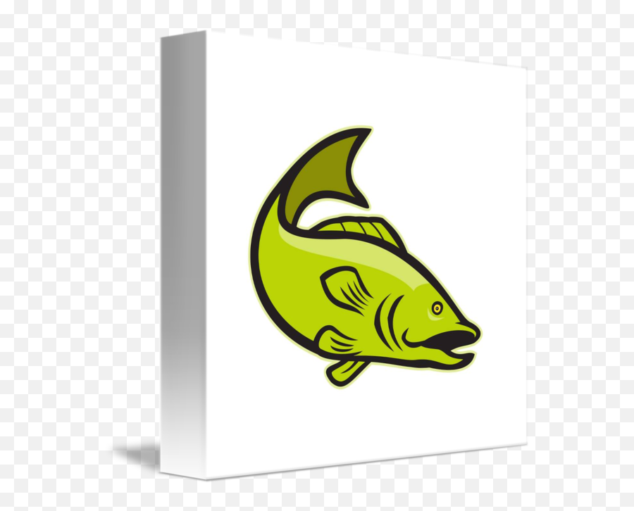 Largemouth Bass - Fish Png,Bass Fish Icon