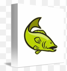 Largemouth Bass - Fish png