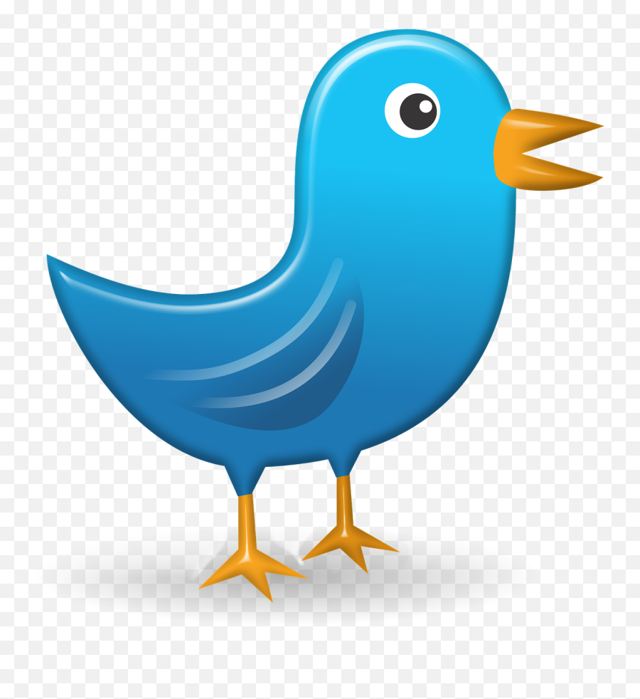 Twitter Public Domain Image Search - Cartoon Bird Looking To The Right Png,Twitter Icon Button