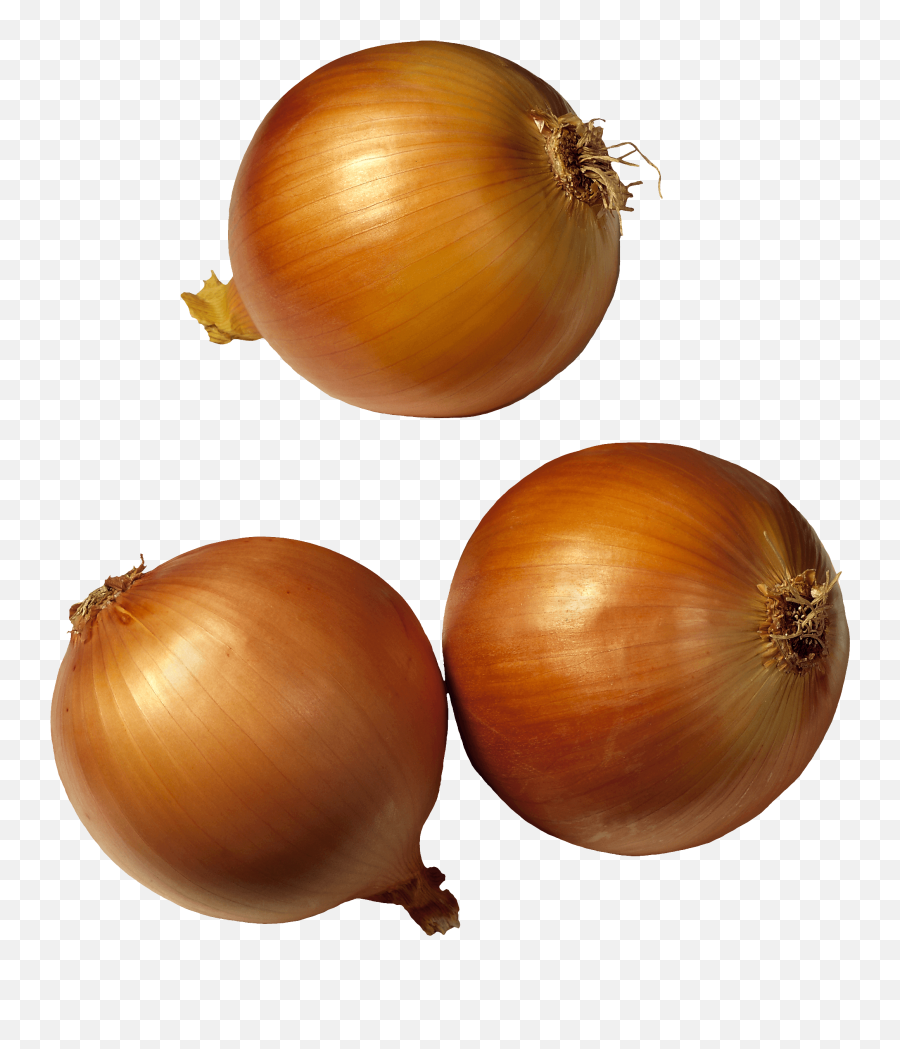 Onion Png Image Icon Favicon - Vegetable Photo On Transparent Background,Onion Png