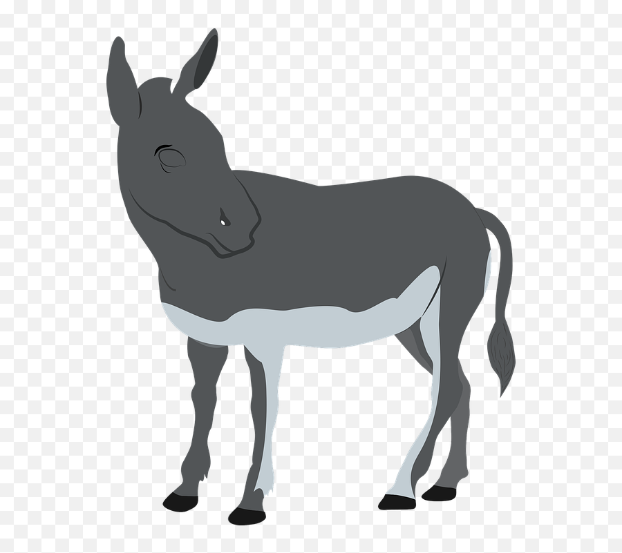Animal Donkey Icon - Free Vector Graphic On Pixabay Animal Figure Png,Icon Of Nativity