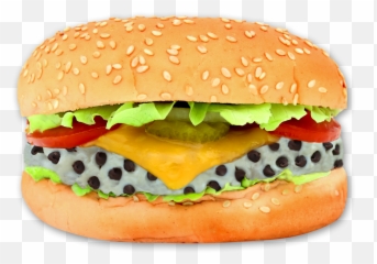 Burger And Sandwich Transparent Png - Clear Background Burger Transparent,Burger Png