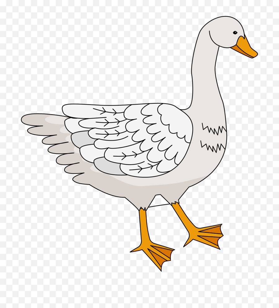 Clipart Goose Pictures - Clip Art Of Goose Png,Goose Transparent