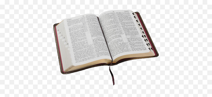 Biblia Evangelica Png