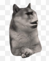 Free Transparent Doge Transparent Background Images Page 1 Pngaaa Com - download free png image dogepng roblox wikia fandom