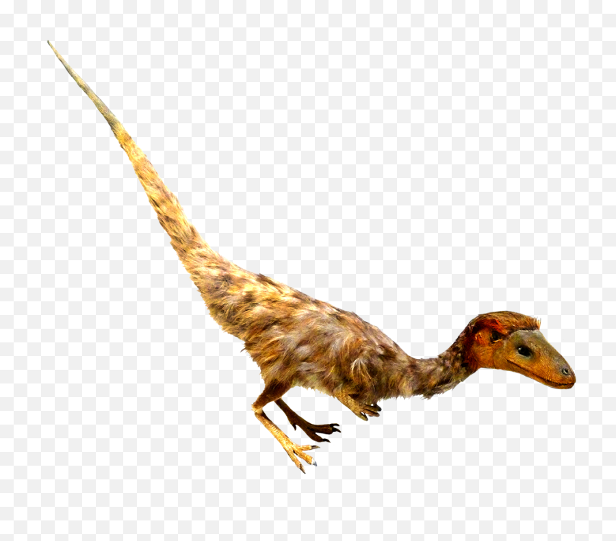 Download Feathered Dinosaur Clipart - Realistic Transparent Dinosaur Clipart Png,Velociraptor Png